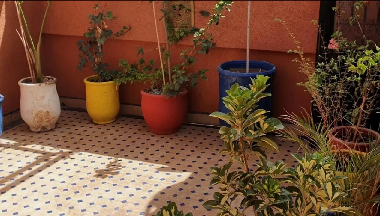 Charmant Riad Au Coeur De Marrakech Marrakesh Holiday home